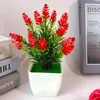 Çiziciler Buah Bunga Rumput Pot Tanaman Bunga Plastik Rumah Tangga Musim Musim Panas Tamu
