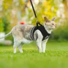 犬の襟のリーシュ通気性猫のハーネスとリーシュエスケーププルーフペット服飼育子犬犬のベスト調整可能なコントロール反射230807