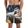 Shorts pour hommes Bateau à voile pirate (1) Natation à séchage rapide pour hommes Maillots de bain Maillot de bain Maillot de bain Maillot de bain Vêtements de plage