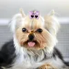 Appareils pour chiens 25pcs Colorful Bowknot Hoils Bows décorer avec un élastique pour les cadour de petits chiens accessoires