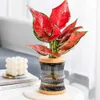 Fioriere Vasi Pot bunga transparan Pot tanaman Bonsai kantor rumah Pot bunga R230808