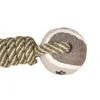 ملابس الكلاب 1PC PET MOLAR TOY COTTON ROPE ROPE SUPPIES