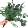 Couronnes de fleurs décoratives 12pcs mélangées véritables feuilles d'eucalyptus séchées tiges conservées argent dollars branches bouquets pour vase arrangements floraux 230808