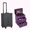 Valigie Valigetta per trucco professionale di grande capacità Trolley per bagagli Artista Special Beauty Nail Storage Box Out Door Embroidery Tool 2023