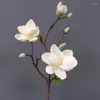 Dekorativa blommor Eva hanterar liten magnolia -simulering Enkel gren Konstgjord blomma heminredning