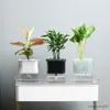 Planters Pots Pot Tanaman Dek Ganda dengan Tangki Air Desktop Pot Bunga Terpisah Tanaman Air Pot Kantor Rumah Mandiri