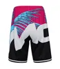 New mountain bike downhill riding pants motorcycle locomotive off-road racing shorts summer