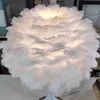 Nordic feather table lamp modern fashion warm boys and girls princess room bedroom desk lamp HKD230808