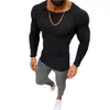 Mannen Truien Trui Lente Slanke Effen Mode binnen Ondergoed Mannen Mock Hals Basic T-shirt Blouse Trui Lange Mouw Top J230808