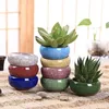 Planters Pots Buah Pot Bunga Retak Untuk Tanaman Berair Rumah Dan Taman Bonsai Pot Tanaman Sukulen Rumah