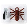 ElectricRC Animals Imprared RC Toy Remote Control Scary Creepy Spider Realistic Tarantula Mock Fake Tricky Jock Halloween Gift 230807