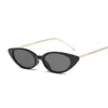 Lunettes de soleil rétro œil de chat Femme marque Designer Vintage dame lunettes de soleil mode classique petit cadre Cateye Lunette Soleil Femme