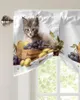Rideau chaton fruits raisins fenêtre salon armoires de cuisine attache cantonnière passe-tringle