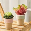 Planters Pots Pot bunga kartun rumah Pot bunga tanaman sukulen Pot bunga dekoratif untuk tanaman