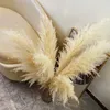 Decorative Flowers Wreaths Large Pampas Grass 48"Dried Fluffy Natural Dried Home Boho Decor Country Wedding Pompas Floral Decoration 230808