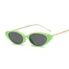 Lunettes de soleil rétro œil de chat Femme marque Designer Vintage dame lunettes de soleil mode classique petit cadre Cateye Lunette Soleil Femme