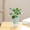 Dekorativa blommor Creative Artificial Bonsai Fine Provering Space-Saving Fake Office Table Potted Flower Ornament