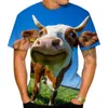 Męskie koszule 2023 3D T-shirt Mężczyźni i kobiety Krótkoczerwiecze wzór krowy swobodna moda