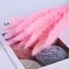 Decorative Flowers 15PCS Pampas Grass Decor Fluffy Small Reeds Valentines Day Gift For Girlfriend Sunflower Party Decoration Artificial Pla