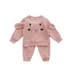 Kleidungssets Dusche Baby Cartoon Mädchen Jungen Waffel Sweatshirt Sweatpant Kleinkind Baumwolle 2-teiliges Outfit Kleinkind Aktiv 0-36 Monate