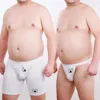 Underbyxor 1 Set 2 PCS Bear Gay Proud Underwear Claw Expose skinkor Crotch genomskinliga boxare Sexiga Jocks White M L XL XXL