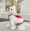 Vêtements pour chiens Doudoune d'hiver Rembourrée Princesse Jupe Ceinture Traction