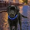 犬の首輪は夜に犬のために点灯します。