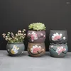 Planters Korean Hand Painted Floret Large Diameter Ceramic Basin Vintage Succulent Green Plant Flower Pot Home Decor Creative Gardening