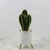 Decorative Flowers Artificial Plastic Cactus Succulent Prickly Pear Potted Plant Eco-friendly Home Office Desktop With Pot