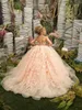 Красивые 3 -й бабочки цветочниц платья светло -розовые кружевные экипаж Свадебная свадебная маленькая девочка