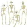 Overige Evenement Feestartikelen 40cm Menselijk Skelet Voor Halloween Decoratie Realistische Schedel Botten Model Halloween Party Home Decor Spookhuis Horror Rekwisieten 230809