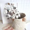 Fleurs décoratives 3 pièces tête de coton naturel fleur séchée artificielle maison décor de noël bricolage guirlande couronne Floral mur matériel