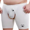 Caleçon 1 ensemble 2 pièces ours Gay fier sous-vêtements griffe exposer fesses entrejambe translucide boxeurs Sexy Jocks blanc M L XL XXL