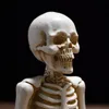 Dekorativa föremål Figurer Retro Figure Skull Yoga Sculpture Staty Craft Ornament Creative Halloween Harts Decorations Home Living Room Desktop 230809