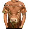 Męskie koszule 2023 3D T-shirt Mężczyźni i kobiety Krótkoczerwiecze wzór krowy swobodna moda