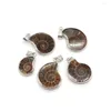 Collane con ciondolo Squisita conchiglia Pietra naturale Ammonite Lumaca 10-35mm Fascino vintage Gioielli di moda che fanno collana fai-da-te Accessorio orecchino