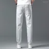 Jeans pour hommes hommes printemps et été rétro gris clair élastique Harlan petit pied pantalon mode tout assorti pantalon classique