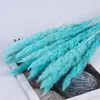 Decorative Flowers 15PCS Pampas Grass Decor Fluffy Small Reeds Valentines Day Gift For Girlfriend Sunflower Party Decoration Artificial Pla