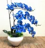 Декоративные цветы 1 Set Blue Phalaenopsis Manragement Artificial Flower High Caffice Orchid Real Touch Home Coremer Floral Art Fire