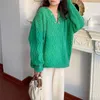 Women's Sweaters Autumn And Winter Solid Color V-neck Rhombus Sweater Design Feeling Loose Thin