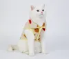 Cat Costumes Color Polka Dot Agneau Gilet