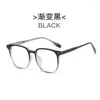النظارات الشمسية المضادة للضوء الأزرق TR90 نظارات كبيرة الحجم رجعية للأزياء للجنسين تصميم دبوس المعابد نظارة متينة مع مفصلات معدنية
