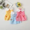 Hundkläder Pet Bow kjol Summer Bichon Plaid Dresses Pomeranian Vackra valpkläder med Strawberry Doggy Clothing Chihuahu kostym