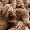 Conjuntos de ropa de cama Gradiente de lujo Caramelo Brown Faux Fur Fur Velvet Fleece Juego de ropa de cama esponjosa Soft Dórmale Cubra de almohadilla de almohadilla de la cama 230809