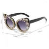 Güneş Gözlüğü 2023 Kedi Göz Güneş Gözlükleri Kadın Açık Alışveriş Gölgeleri Elmas Sürüş Gözlük Retro Çiçek Oval