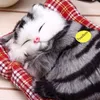 ぬいぐるみのぬいぐるみぬいぐるみ素敵なシミュレーション動物ぬいぐるみ眠っている猫おもちゃサウンドキッズおもちゃ飾り誕生日ギフト