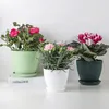 Planters Pots Pot bunga tanaman sukulen pot dekoratif Modern untuk pertanian