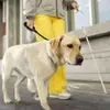 Ropa para perros Correa para caminar para mascotas de 60 cm Nylon altamente reflectante a prueba de explosiones con suministros de mango suave