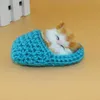 Stuffed Plush Animals 1pc Mini Lovely Simulation Sounding Shoe Kittens Cats Plush Toy Sleeping Cats Toy Kids Appease Doll Birthday Gift Doll R230810