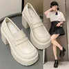 Dress Shoes 2023 Women's Versatile Thick Sole Black Small Leather French Vintage High Heels Mary Jane